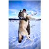Image 15 : Alberta Wolf Hunt for 2