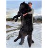 Image 21 : Alberta Wolf Hunt for 2