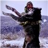 Image 7 : Alberta Wolf Hunt for 2