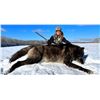 Image 9 : Alberta Wolf Hunt for 2