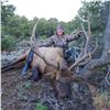 Image 3 : New Mexico Bull Elk Hunt