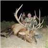 Image 6 : New Mexico Bull Elk Hunt