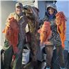 Image 10 : Alaska Fishing Trip for 4