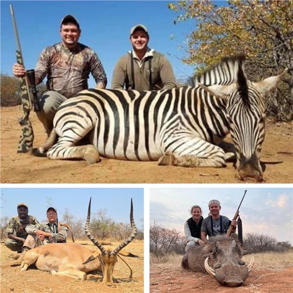 10-Day South African Safari with 3 Species