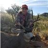 Image 4 : Arizona Mule or Coues Deer Hunt for 2
