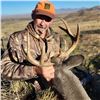 Image 5 : Arizona Mule or Coues Deer Hunt for 2