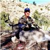 Image 7 : Arizona Mule or Coues Deer Hunt for 2
