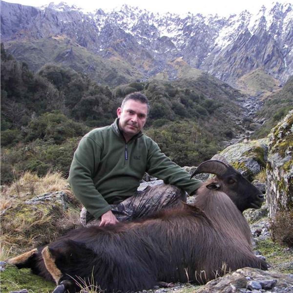 2026 New Zealand Alpine Bull Tahr Hunt