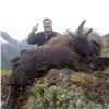 Image 3 : 2027 New Zealand Alpine Bull Tahr Hunt