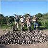 Image 3 : Argentina Dove Hunt for 4 to 8 Hunters