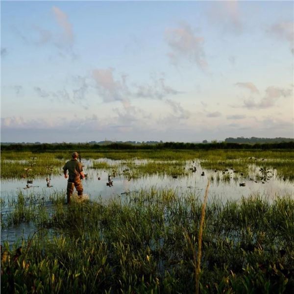 Louisiana Early Season Teal Hunt for 4