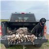 Image 3 : Louisiana Early Season Teal Hunt for 4