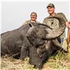 Image 3 : Argentina Water Buffalo & Boar Hunt for 2