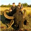 Image 4 : Argentina Water Buffalo & Boar Hunt for 2