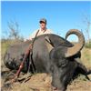 Image 6 : Argentina Water Buffalo & Boar Hunt for 2