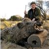 Image 8 : Argentina Water Buffalo & Boar Hunt for 2