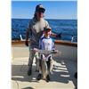 Image 3 : SL1 - LAKE MICHIGAN FISHING ADVENTURE FOR 4 ANGLERS