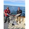 Image 8 : SL1 - LAKE MICHIGAN FISHING ADVENTURE FOR 4 ANGLERS