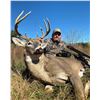 Image 7 : SL3 - MISSOURI PHEASANT HUNT FOR 2 HUNTERS