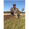 Image 2 : SL4 - MISSOURI WHITETAIL HUNT FOR 2 HUNTERS