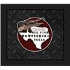Image 1 : SL6 - TROPHY ALLIGATOR GAR BOWFISHING OR ROD & REEL ADVENTURE FOR 2 ANGLERS