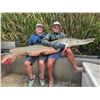 Image 3 : SL6 - TROPHY ALLIGATOR GAR BOWFISHING OR ROD & REEL ADVENTURE FOR 2 ANGLERS