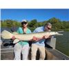 Image 4 : SL6 - TROPHY ALLIGATOR GAR BOWFISHING OR ROD & REEL ADVENTURE FOR 2 ANGLERS