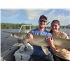Image 5 : SL6 - TROPHY ALLIGATOR GAR BOWFISHING OR ROD & REEL ADVENTURE FOR 2 ANGLERS