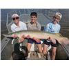 Image 6 : SL6 - TROPHY ALLIGATOR GAR BOWFISHING OR ROD & REEL ADVENTURE FOR 2 ANGLERS