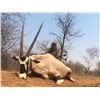 Image 2 : SL7 - NAMIBIAN PLAINS GAME SAFARI FOR 2 HUNTER AND 2 NON-HUNTERS