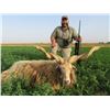 Image 5 : SL8 - SERBIA ROE DEER HUNT FOR 1 HUNTER AND 1 NON-HUNTER