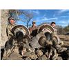 Image 4 : SL9 - MEXICAN GOULD'S TURKEY HUNT FOR 2 HUNTERS