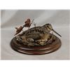 Image 6 : SL10 - WINDY HILLS TAXIDERMY CREDIT