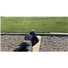 Image 3 : SL11 - WESTERN PRECISION HUNTING RIFLE COURSE FOR 2 SHOOTERS