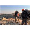 Image 7 : SL11 - WESTERN PRECISION HUNTING RIFLE COURSE FOR 2 SHOOTERS