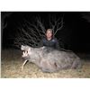 Image 2 : SL12 - ARGENTINA BIG GAME AND FISHING SAFARI FOR 2 HUNTERS