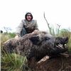 Image 3 : SL12 - ARGENTINA BIG GAME AND FISHING SAFARI FOR 2 HUNTERS