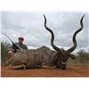 Image 3 : SL14 - SOUTH AFRICA PLAINS GAME SAFARI FOR 2 HUNTERS