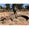 Image 5 : SL14 - SOUTH AFRICA PLAINS GAME SAFARI FOR 2 HUNTERS