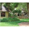 Image 7 : SL14 - SOUTH AFRICA PLAINS GAME SAFARI FOR 2 HUNTERS