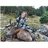 Image 2 : SL15 - SPANISH BIG GAME HUNT FOR 2 HUNTERS AND 2 NON-HUNTERS