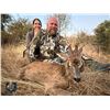 Image 4 : SL15 - SPANISH BIG GAME HUNT FOR 2 HUNTERS AND 2 NON-HUNTERS