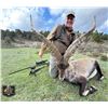 Image 5 : SL15 - SPANISH BIG GAME HUNT FOR 2 HUNTERS AND 2 NON-HUNTERS