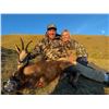 Image 6 : SL15 - SPANISH BIG GAME HUNT FOR 2 HUNTERS AND 2 NON-HUNTERS