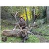 Image 7 : SL15 - SPANISH BIG GAME HUNT FOR 2 HUNTERS AND 2 NON-HUNTERS