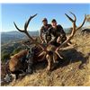 Image 8 : SL15 - SPANISH BIG GAME HUNT FOR 2 HUNTERS AND 2 NON-HUNTERS