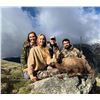 Image 9 : SL15 - SPANISH BIG GAME HUNT FOR 2 HUNTERS AND 2 NON-HUNTERS