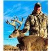 Image 3 : SL16 - SONORAN COUES DEER HUNT 1 HUNTER