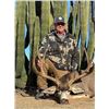 Image 4 : SL16 - SONORAN COUES DEER HUNT 1 HUNTER