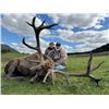 Image 11 : SL19 - SCOTTISH RED STAG HUNT FOR 1 HUNTER